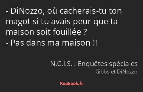 DiNozzo, où cacherais-tu ton magot si tu avais peur que ta maison soit fouillée ? Pas dans ma…