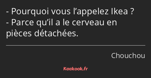 Pourquoi vous l’appelez Ikea ? Parce qu’il a le cerveau en pièces détachées.