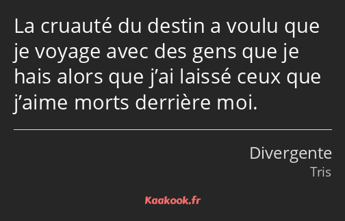 La cruauté du destin a voulu que je voyage avec des gens que je hais alors que j’ai laissé ceux que…