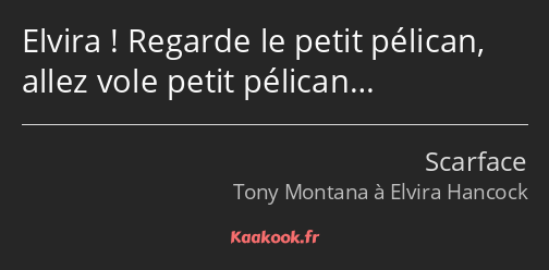 Elvira ! Regarde le petit pélican, allez vole petit pélican…