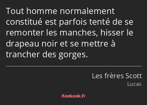 Tout homme normalement constitué est parfois tenté de se remonter les manches, hisser le drapeau…