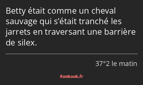 Betty était comme un cheval sauvage qui s’était tranché les jarrets en traversant une barrière de…
