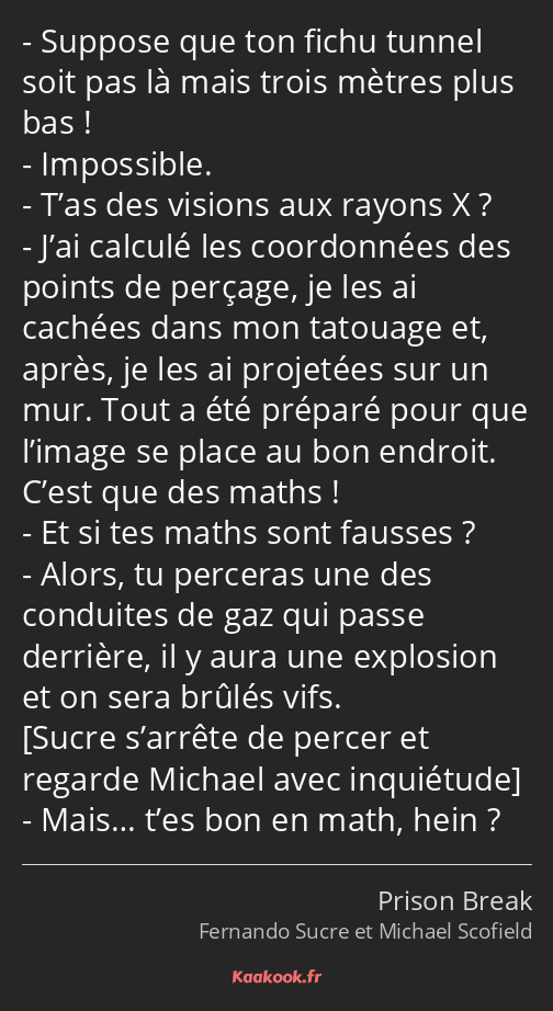 Suppose que ton fichu tunnel soit pas là mais trois mètres plus bas ! Impossible. T’as des visions…