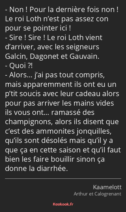 Non ! Pour la dernière fois non ! Le roi Loth n’est pas assez con pour se pointer ici ! Sire ! Sire…