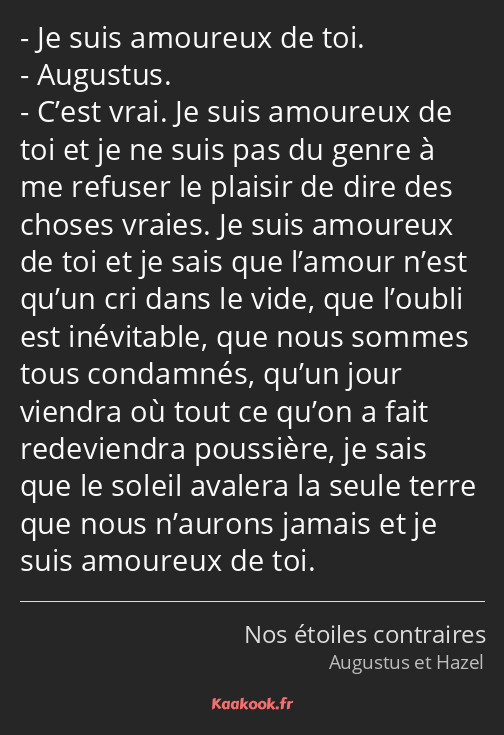 Je suis amoureux de toi. Augustus. C’est vrai. Je suis amoureux de toi et je ne suis pas du genre à…