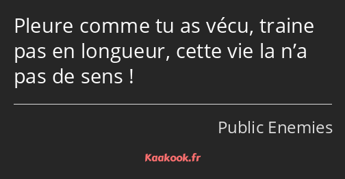 Pleure comme tu as vécu, traine pas en longueur, cette vie la n’a pas de sens !