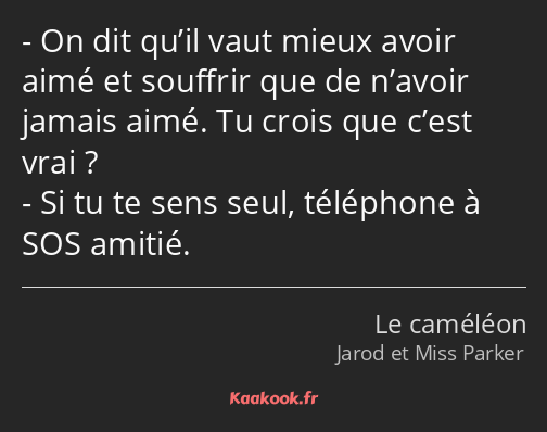 On dit qu’il vaut mieux avoir aimé et souffrir que de n’avoir jamais aimé. Tu crois que c’est vrai…