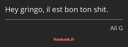 Hey gringo, il est bon ton shit.