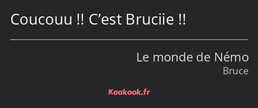 Coucouu !! C’est Bruciie !!