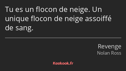 Tu es un flocon de neige. Un unique flocon de neige assoiffé de sang.
