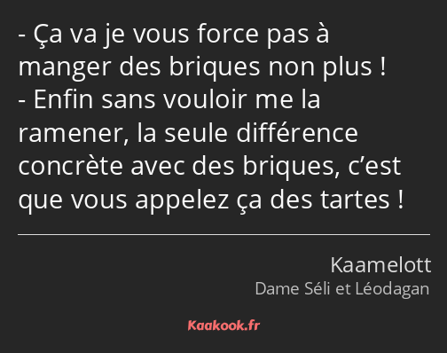 Ça va je vous force pas à manger des briques non plus ! Enfin sans vouloir me la ramener, la seule…