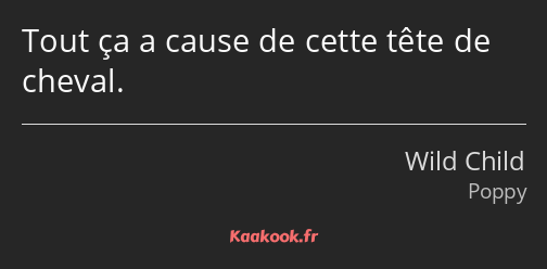 Tout ça a cause de cette tête de cheval.