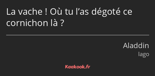 La vache ! Où tu l’as dégoté ce cornichon là ?