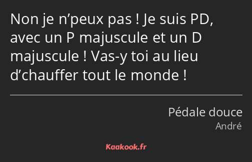 Non je n’peux pas ! Je suis PD, avec un P majuscule et un D majuscule ! Vas-y toi au lieu…