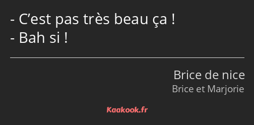 C’est pas très beau ça ! Bah si !