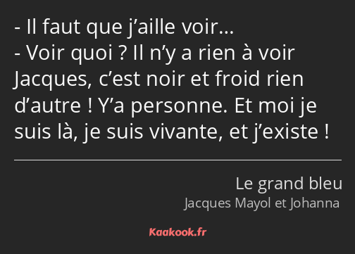 Il faut que j’aille voir… Voir quoi ? Il n’y a rien à voir Jacques, c’est noir et froid rien…