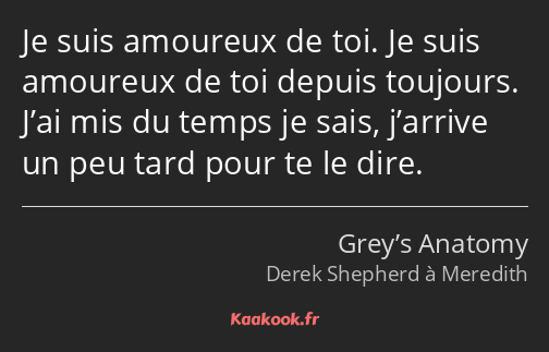 Je suis amoureux de toi. Je suis amoureux de toi depuis toujours. J’ai mis du temps je sais…