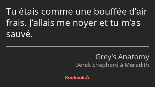 Tu étais comme une bouffée d’air frais. J’allais me noyer et tu m’as sauvé.