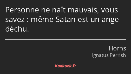 Personne ne naît mauvais, vous savez : même Satan est un ange déchu.