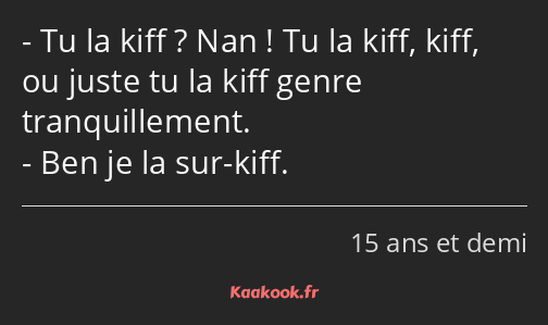 Tu la kiff ? Nan ! Tu la kiff, kiff, ou juste tu la kiff genre tranquillement. Ben je la sur-kiff.