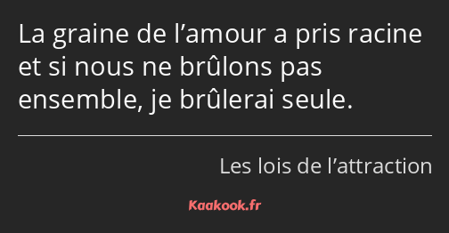 La graine de l’amour a pris racine et si nous ne brûlons pas ensemble, je brûlerai seule.