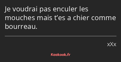 Je voudrai pas enculer les mouches mais t’es a chier comme bourreau.
