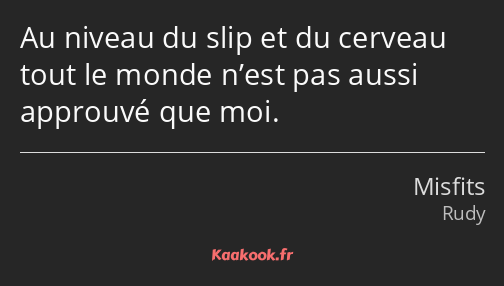 Au niveau du slip et du cerveau tout le monde n’est pas aussi approuvé que moi.