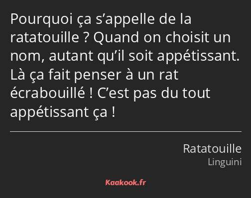 Pourquoi ça s’appelle de la ratatouille ? Quand on choisit un nom, autant qu’il soit appétissant…