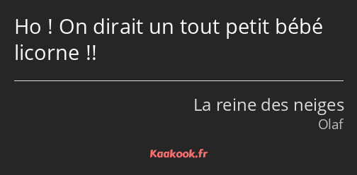 Ho ! On dirait un tout petit bébé licorne !!