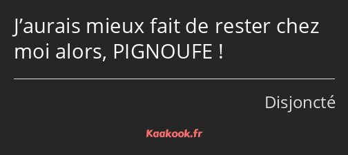 J’aurais mieux fait de rester chez moi alors, PIGNOUFE !