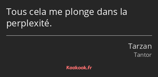 Tous cela me plonge dans la perplexité.