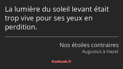 La lumière du soleil levant était trop vive pour ses yeux en perdition.