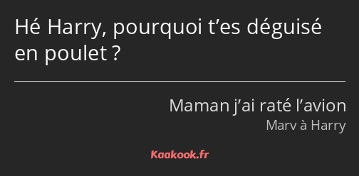 Hé Harry, pourquoi t’es déguisé en poulet ?