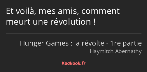 Et voilà, mes amis, comment meurt une révolution !