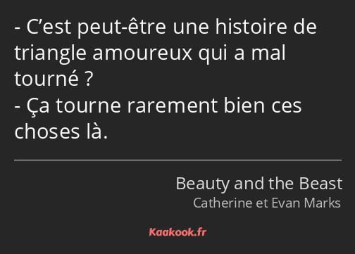 C’est peut-être une histoire de triangle amoureux qui a mal tourné ? Ça tourne rarement bien ces…
