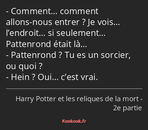 Comment… comment allons-nous entrer ? Je vois… l’endroit… si seulement… Pattenrond était là……