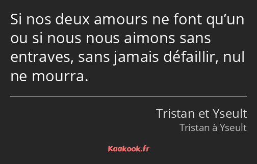 Si nos deux amours ne font qu’un ou si nous nous aimons sans entraves, sans jamais défaillir, nul…