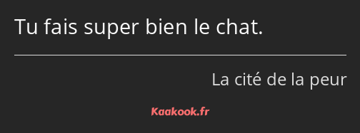 Tu fais super bien le chat.