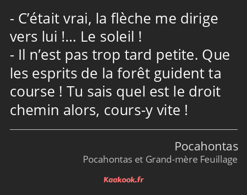 C’était vrai, la flèche me dirige vers lui !… Le soleil ! Il n’est pas trop tard petite. Que les…