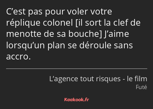 C’est pas pour voler votre réplique colonel J’aime lorsqu’un plan se déroule sans accro.