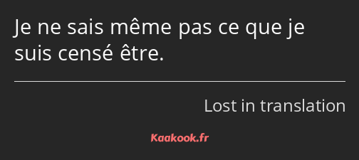 Je ne sais même pas ce que je suis censé être.