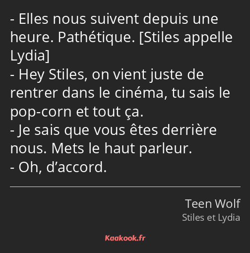 Elles nous suivent depuis une heure. Pathétique. Hey Stiles, on vient juste de rentrer dans le…