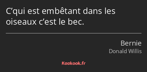 C’qui est embêtant dans les oiseaux c’est le bec.