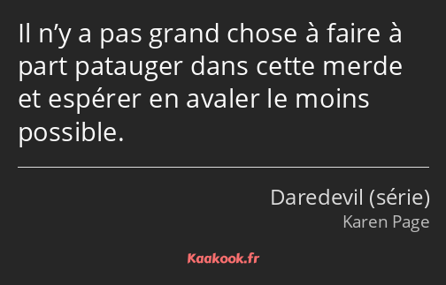 Il n’y a pas grand chose à faire à part patauger dans cette merde et espérer en avaler le moins…