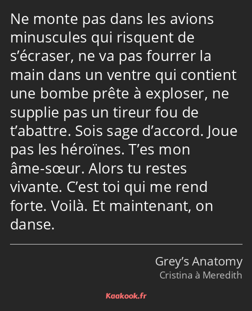 Ne monte pas dans les avions minuscules qui risquent de s’écraser, ne va pas fourrer la main dans…