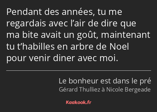 Pendant des années, tu me regardais avec l’air de dire que ma bite avait un goût, maintenant tu…