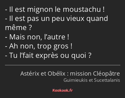 Il est mignon le moustachu ! Il est pas un peu vieux quand même ? Mais non, l’autre ! Ah non, trop…