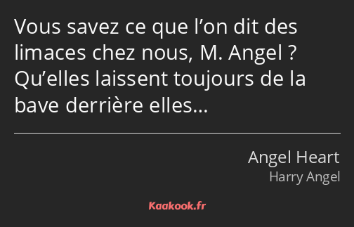 Vous savez ce que l’on dit des limaces chez nous, M. Angel ? Qu’elles laissent toujours de la bave…