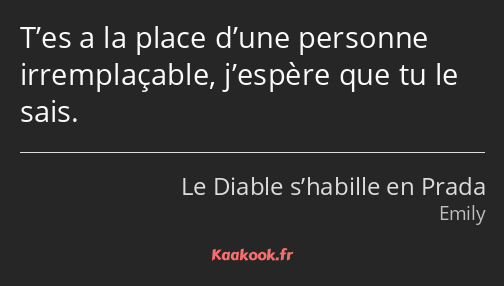 T’es a la place d’une personne irremplaçable, j’espère que tu le sais.