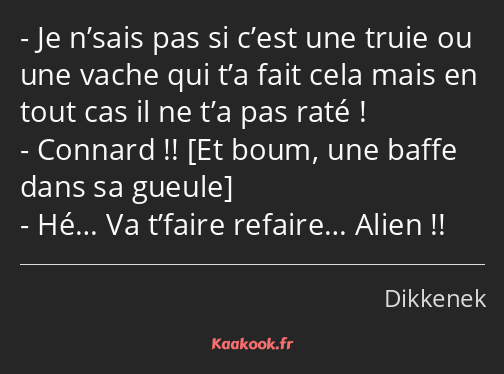 Je n’sais pas si c’est une truie ou une vache qui t’a fait cela mais en tout cas il ne t’a pas raté…